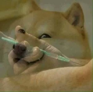 Meet your Posher, Arik